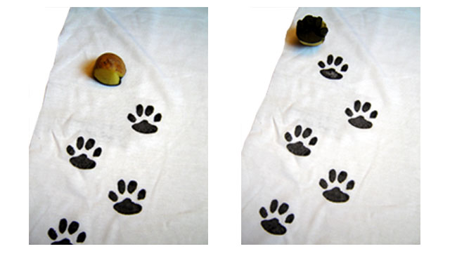 Shirt bedrucken - Kartoffeldruck