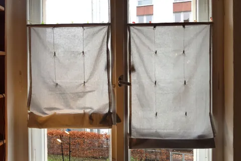 Gardinen und Rollos: Schmuck für die Fenster 