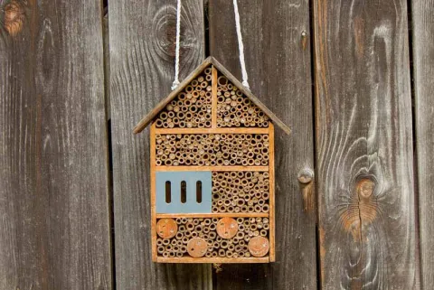 Insektenhotels für eine lebendige Gartenwelt