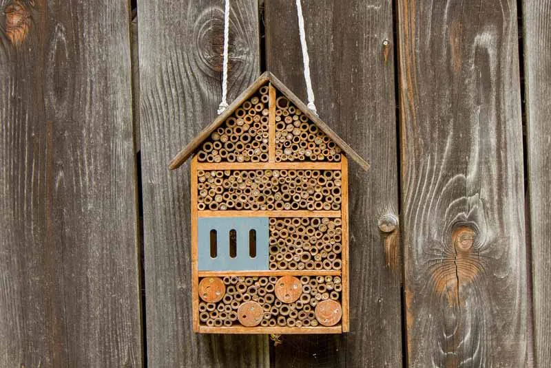 Insektenhotels für eine lebendige Gartenwelt